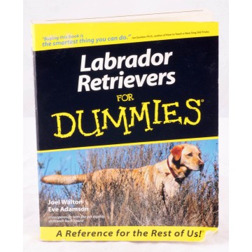 Labrador Retrievers for...
